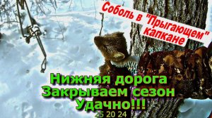 Нижняя дорога Закрываем сезон Удачно!!! 25 02 24