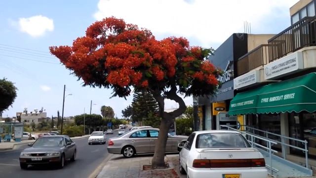 Прогулка по улицам Пафоса (Кипр) смотреть онлайн