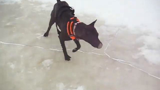 Отдых после забега. смотреть онлайн