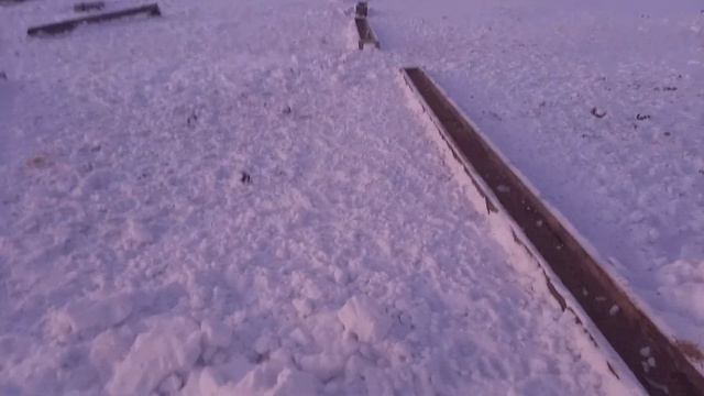 Зимовка в Приангарье. Калмыцкая порода КРС.