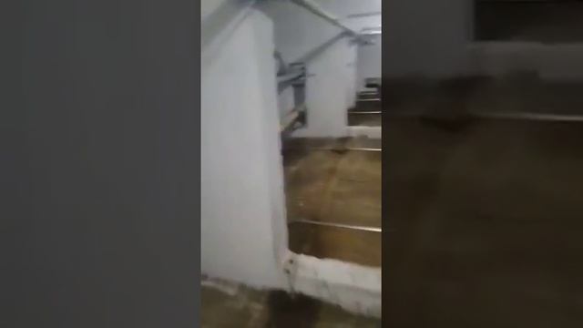 Линейный бесстреловой бетононасос Линейный бетононасос в москве заливка в Подвале