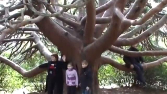 777 тур. Ялта 29 октября.mp4 смотреть онлайн