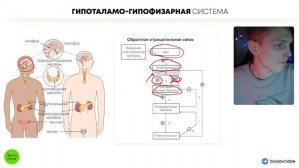 БИОЛОГИЯ ОГЭ - Гипоталамо-гипофизарная система