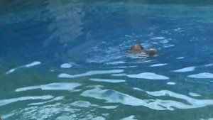 НЕВЕРОЯТНО! Ребенок плавает! 2 ГОДА! Baby SWIMMING! 2 years! Грудничковое плавание