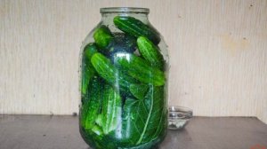 Малосольные огурцы