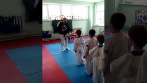 Тхэквондо, как получить жёлтый пояс