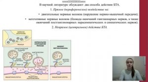 4   «Токсин ботулизма – ядовитейший из ядовитых и его исцеляющая роль»