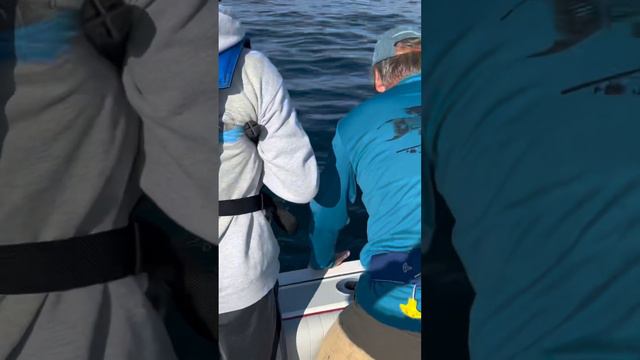 My First Ever Tuna смотреть онлайн