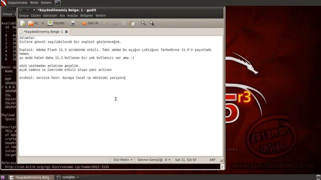 BT5 MSF - Adobe Flash Player 11.3 Kern Table Parsing Integer Overflow смотреть онлайн