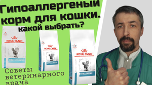 Выбор гипоаллергенного корма для кошки