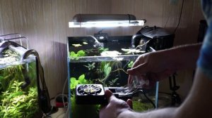 Охлаждение воды в аквариуме с Алиэкспресс. Обзор