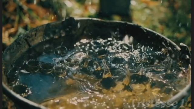 Sensual Flamenco смотреть онлайн