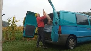 Какой расход корма для одной свиньи? Контрольная группа свиней (20 голов) Свиноводство.