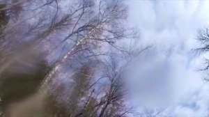 Как клюет хариус подводные съемки  Осенняя рыбалка на хариуса