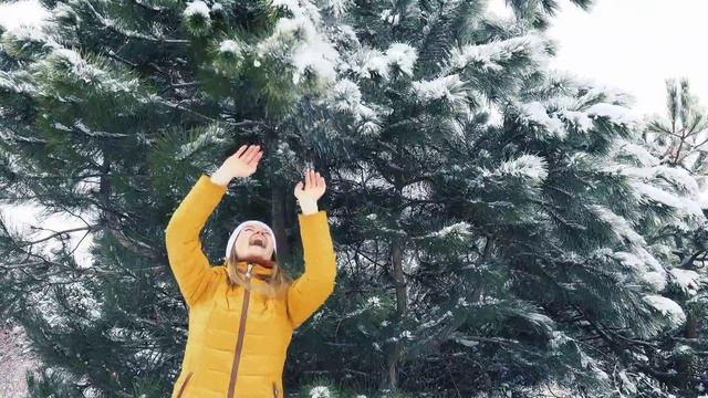 Зимняя сказка. Видео 4K смотреть онлайн