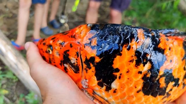 Поплавок Будущего - ВЗРЫВАЕТ ИНТЕРНЕТ / Fishing Revolution!!! смотреть онлайн