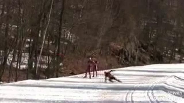 Как делают трюки на лыжах канадцы. смотреть онлайн