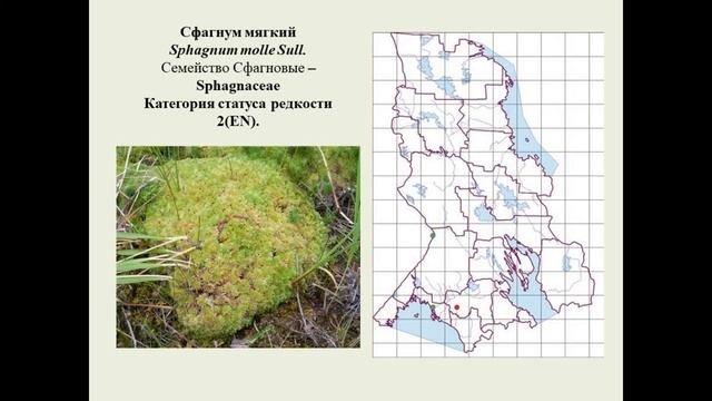 «Новое издание Красной книги Республики Карелия»