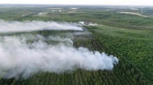 Пожарные оперативно ликвидировали пожар лесоторфяной подстилки в Камешковском районе