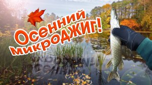 Осенняя микроджиг рыбалка, нежданная щука, окунь делает свечку!