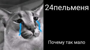 Сколько шльопа сьел пельменей ?
