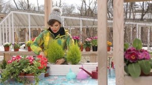 Дачные Феи весна