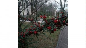 завеса отделяющая нас от Бога
