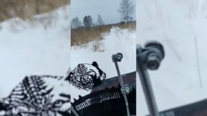 Прёт как танк! мотобуксировщик Тофалар 500 Покатушки, выгулял Джека)