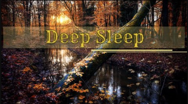 Расслабляющая Музыка для Глубокого Сна ⦁ Окружающие Звуки Леса и Дождя