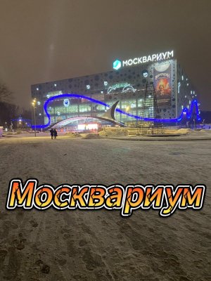 Морское приключение. Акула ту - ру - ру.