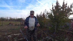 Великовечное. Апельсины, мандарины и даже мочалки растут. Как высаживать правильно  виноград