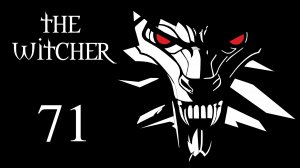The Witcher / Ведьмак - Поля - Прохождение игры на русском [#71] | PC (2016 г.)