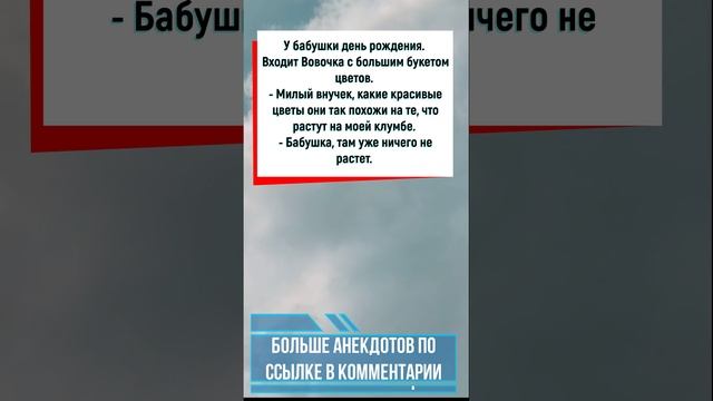 Анекдот: Вовочка поздравляет бабушку ? #анекдоты #приколы #юмор #мемы #шутки #shorts
