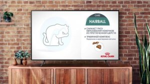 Выведение комочков шерсти из желудка кошки. Советы ветеринара Роял Канин