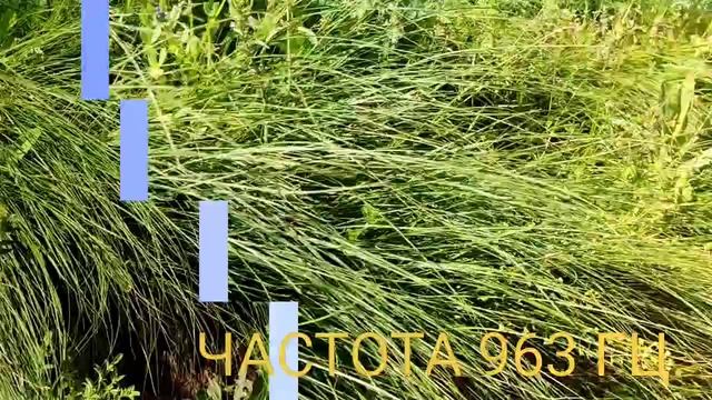 Программа  Девятая: Осветление Денежного Кода ДНК на Частоте 963 Гц.