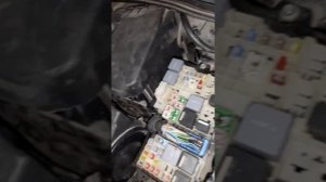 форд  фокус 3 ошибка двигателя срочно сервис