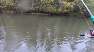 Рыбалка в Приморье. Река Журавлёвка. Хариус, ленок. 24.09.2018 г. Как одеть швабру на крючок.