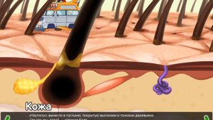 Развивашки для детей. Как устроен человек. Мозг