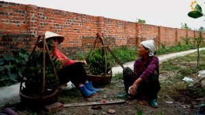 Harvest Bananas On The Farm - Go to the Highland Market to sell, Duck Care, Traditional Cooking