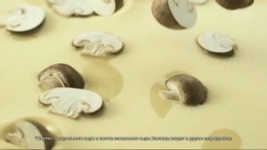 Реклама Плавленый сыр Хохланд