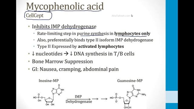 Иммунология USMLE - 3. Фармакология - 2.Иммуносупрессивные препараты