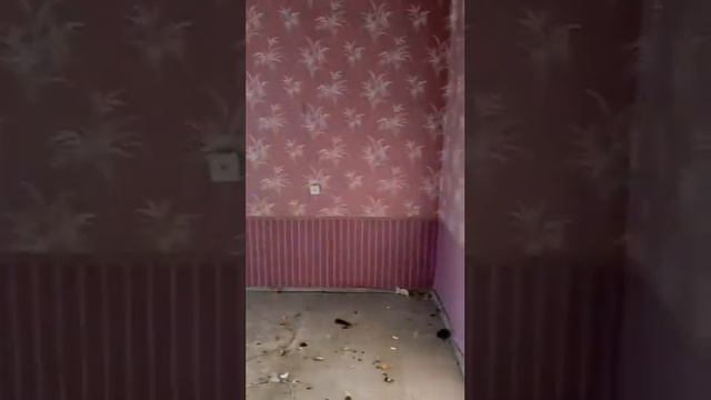 Вывоз мебели из хаоса! "ДО" и "ПОСЛЕ" Хламофф.рф +7-921-97-532-97 #вывозмусора #экология #диван
