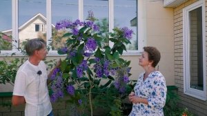 Такой лианы вы еще не видели