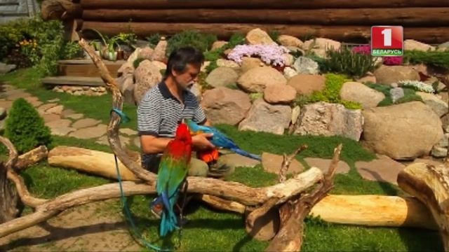 Дача. Новый сезон. 11 серия. смотреть онлайн