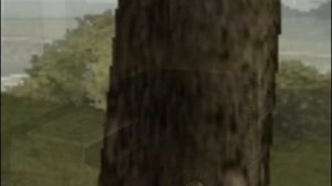 GUIDE | Охота на ОЛЕНЕЙ на Аризоне!