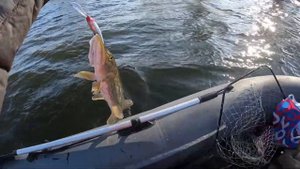 МАРТОВСКИЙ ЖОР ИКРЯНЫХ ЩУК! ТАКОЙ РЫБАЛКИ У МЕНЯ ЕЩЕ НЕ БЫЛО! Рыбалка в Астрахани.