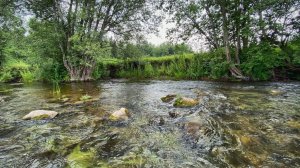 В поисках форели в июле, в переменную погоду.