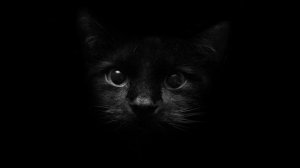 Музыка для сна. Видео с черным фоном