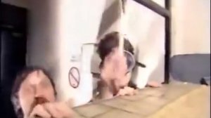 Группа Лимонадный Джо «Туда нельзя, сюда нельзя!» 1988