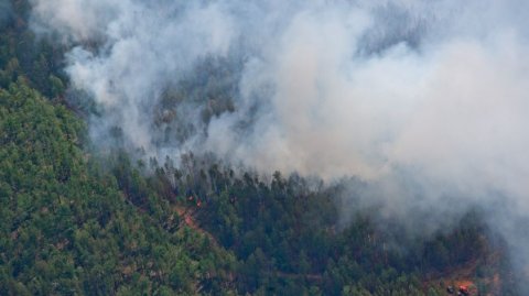 Площадь лесных пожаров в Алтайском крае превысила четыре тысячи гектаров